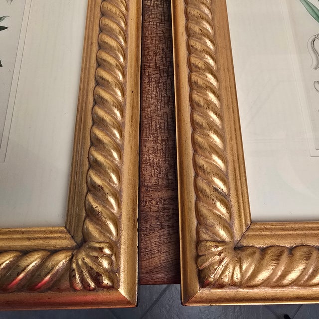 Antique French Botanical Engravings, Set of 3 – 1840s Hand-Colored Prints in Gilt Rope Frames For Sale - Image 9 of 17