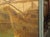Cream 19th Century French Seaport Oil Painting After Claude Lorrain, 60.4 X 74.3 In For Sale - Image 8 of 18