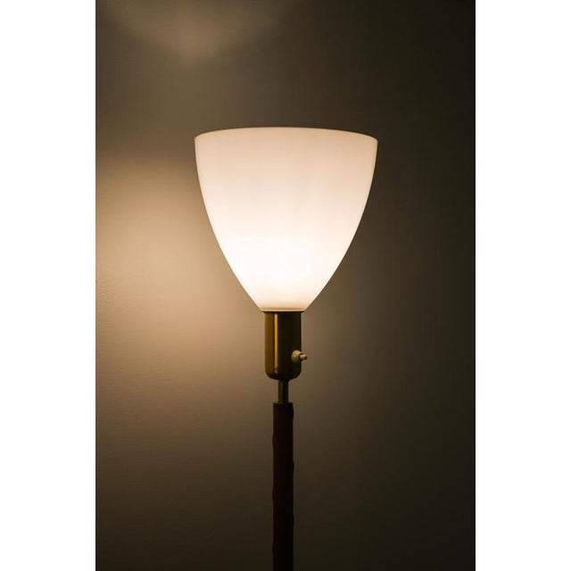 Floor Lamps in Brass, Glass, and Leather from Asea, 1950s, Set of 2 For Sale - Image 6 of 9