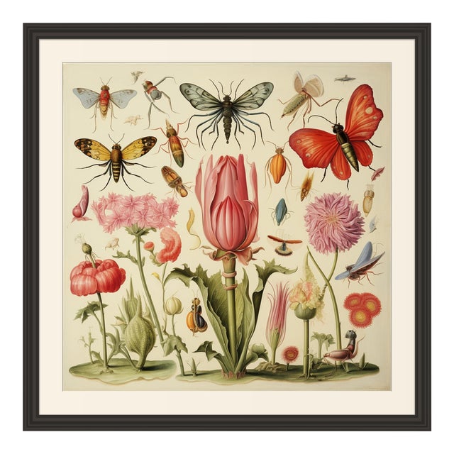 18' X 18' Framed 'Insects and Flowers' Botanical Print #3 | Chairish
