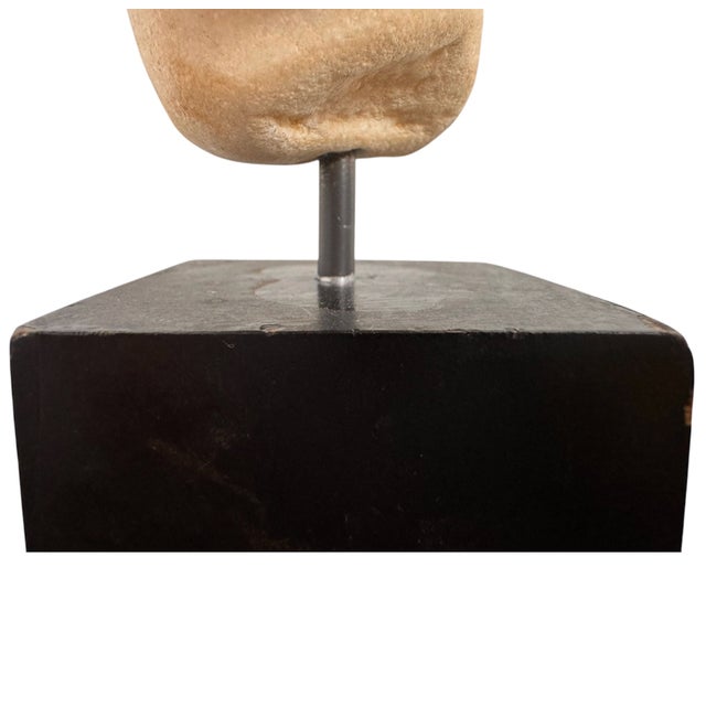 Stone 19th Century Italian Grand Tour Marble Bust For Sale - Image 7 of 12