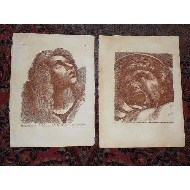 Antique 18th Century Elephant Folio Sepia Etchings After Raphael - a Pair For Sale In Cincinnati - Image 6 of 6