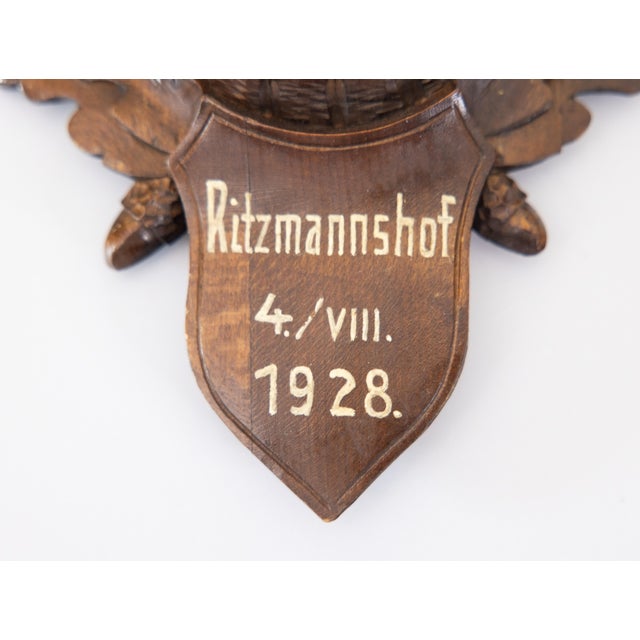 Cabin Black Forest Roe Deer Antlers Hunting Trophy 1928 Mount For Sale - Image 3 of 7