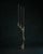 Omnia vanitas vanité 19 candelabra in patinated cast bronze by william guillon hand sculpted, dated and signed dimensions:...