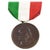 Italian Garibaldi Bronze Medal, 1902 For Sale - Image 6 of 6