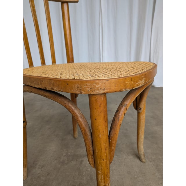 Vintage Boho Cane Seat Dining Chair, Yugoslavia, 1970s For Sale - Image 10 of 18