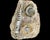 Ammonite and Orthoceras Fossil Plaque - Organic Modern Prehistoric Art For Sale - Image 10 of 10
