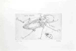 Sergio Barletta, Insects, Etching, 1974