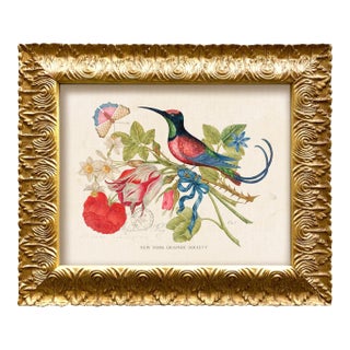 Reproduction Vintage Birds and Butterflies Art Print (Bird#4), Framed For Sale