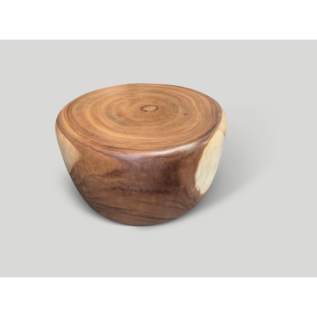 Andrianna Shamaris Drum Shape Suar Wood Coffee Table For Sale - Image 13 of 18