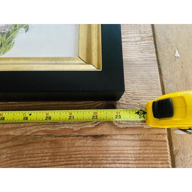 1971 Signed Mixed Media Figurative Drawing by David Mac Innes | California Original Work on Paper | Professionally Framed For Sale - Image 9 of 11