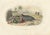 After Édouard Traviès, The Common Dolphin, 1840, Hand-Colored Engraving For Sale - Image 9 of 9