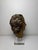 Genovese Artist, Sculpture Depicting the Head of an Angel, 17th Century, Wood For Sale - Image 10 of 18