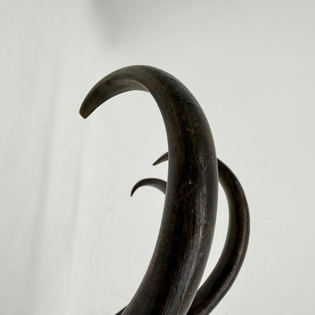 Antique Bentwood Wall Mounted Coat Rack, 1930s For Sale - Image 4 of 18