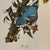 Shabby Chic 1960s After Audubon Blue Jay Print For Sale - Image 3 of 3