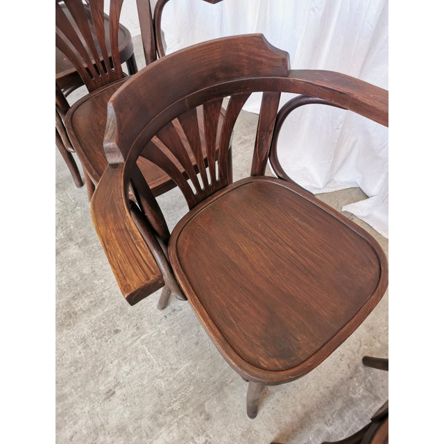 Mid-Century Bentwood Dining Chairs, 1970s, Set of 4 For Sale - Image 15 of 18
