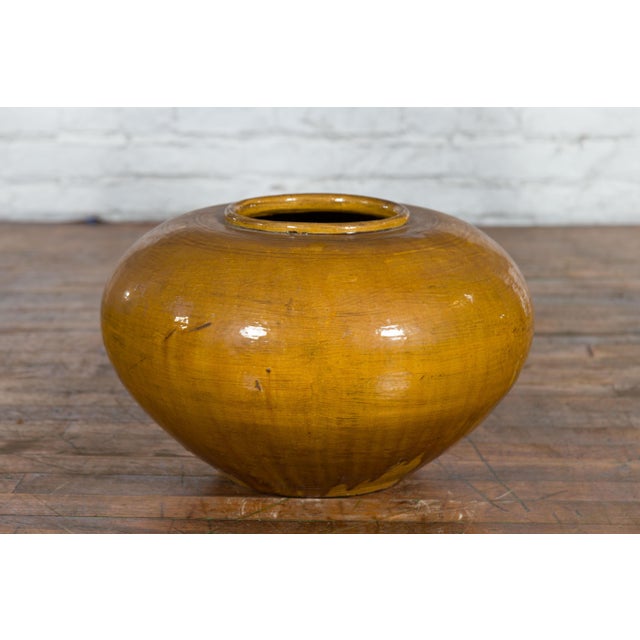Mustard Chinese Vintage Porcelain Low Squat Planter with Yellow Mustard Glaze For Sale - Image 8 of 12