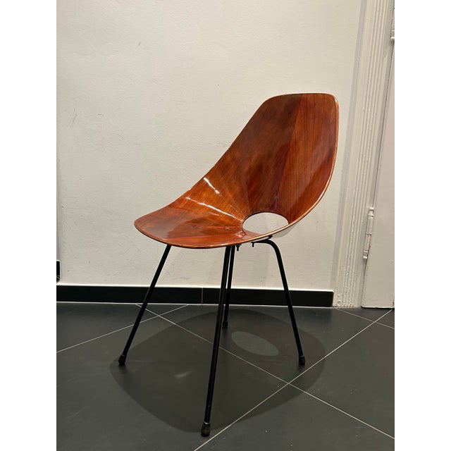 Chair from Vittorio Nobili, Italy, 1955 For Sale - Image 14 of 14