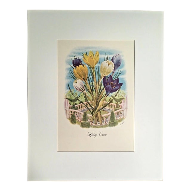 Vintage 1940s Libbie Lovett Flower Print in 16x20 Mat: "Spring Crocus", EUC For Sale