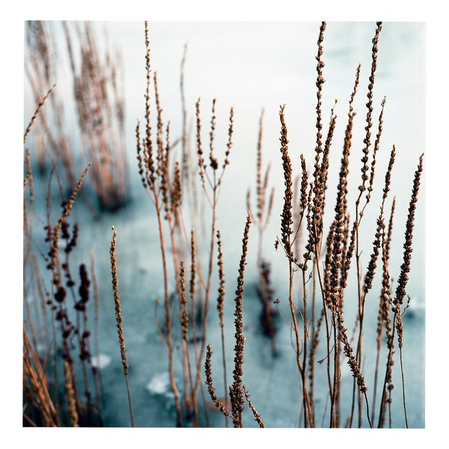 Paul Cooklin, Debenham Lake, Suffolk, Edition of 50 For Sale