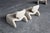 Cream Djinn Lounge Chairs with Ottoman by Olivier Mourgue for Airborne, France, 1960s, Set of 3 For Sale - Image 8 of 10