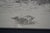 Late 19th Century Antique Alfred Hopkins Old Millhouse Water Mill Panoramic Riverscape Etching 25" For Sale - Image 5 of 13