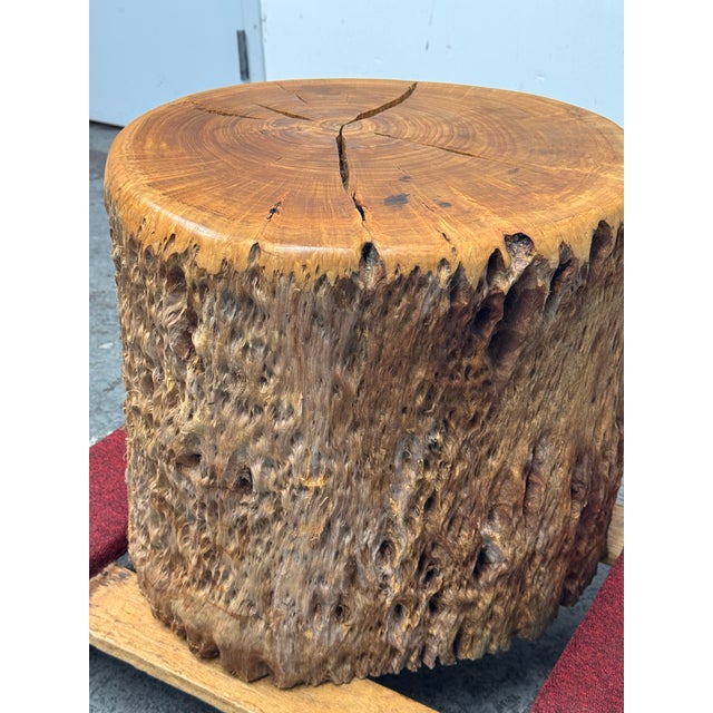 2010s Organic Modern Live Edge Tree Side Table/Stool For Sale - Image 5 of 12