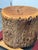 2010s Organic Modern Live Edge Tree Side Table/Stool For Sale - Image 5 of 12