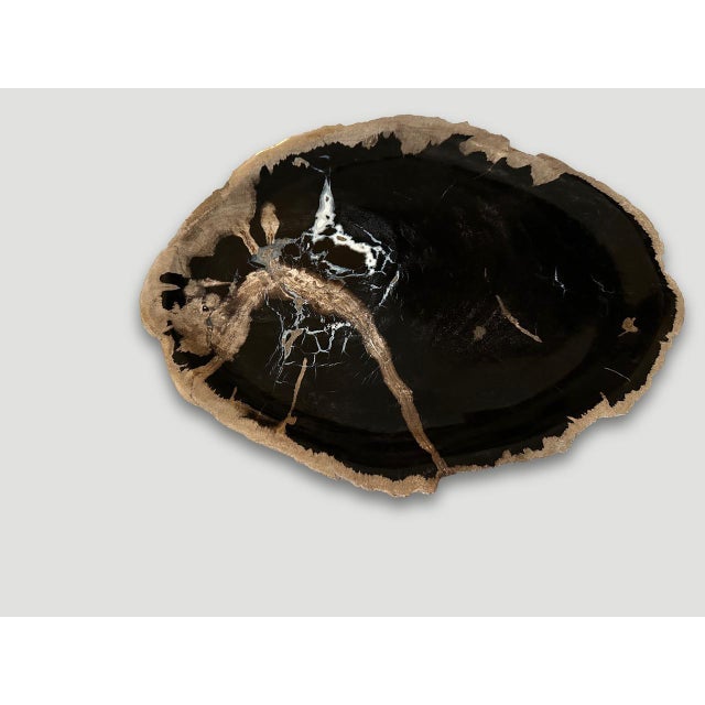 Contemporary Andrianna Shamaris Petrified Wood Shallow Dish For Sale - Image 3 of 5
