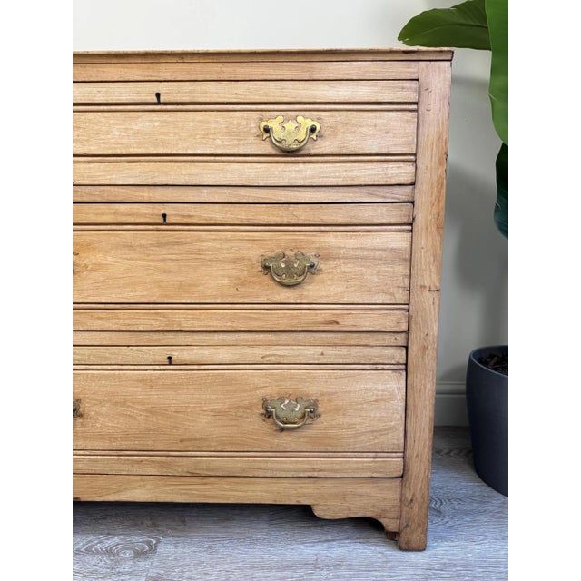 Vintage Pine Chest of Drawers, 1950s For Sale - Image 14 of 15