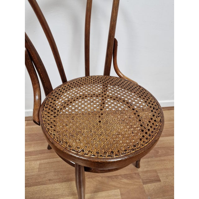 Bent Beechwood Dining Chairs from Salvatore Leone, Late 19th Century, Set of 4 For Sale - Image 9 of 11