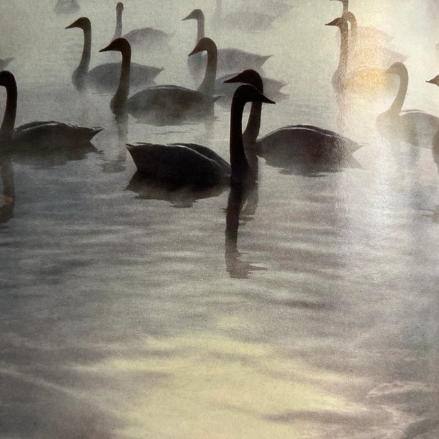 Life World's Best Photographs 1980-1990 Book For Sale - Image 10 of 13