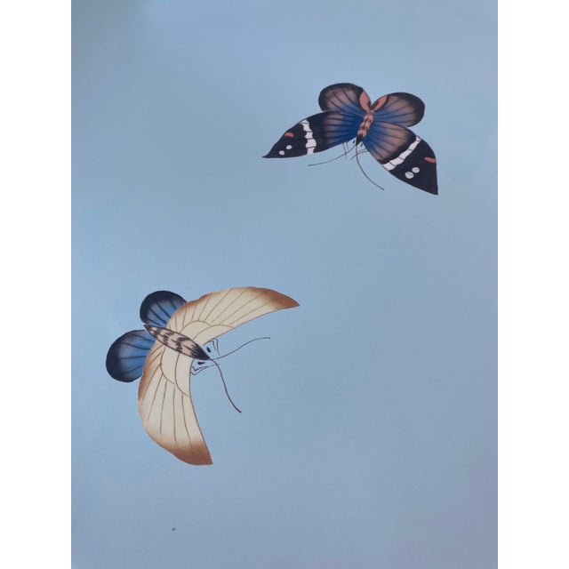 Paper 36"*96", Butterfly Wallpaper in Light Blue Ground Color For Sale - Image 7 of 8