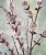 Turquoise Vintage Asian Chinoiserie Cherry Blossom Watercolor Painting For Sale - Image 8 of 11