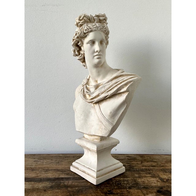 Ceramic Apollo Belvedere Bust Sculpture For Sale - Image 11 of 18