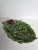 Vintage Portuguese Majolica Cabbage Leaf Serving Dish With Plum Handle For Sale In Philadelphia - Image 6 of 6