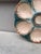French Majolica Oyster Plate Sarreguemines, Circa 1870 For Sale - Image 3 of 4