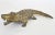 1940's Vintage Brass Crocodile Figurine For Sale - Image 12 of 12
