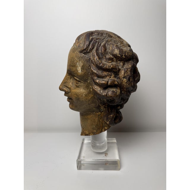 Genovese Artist, Sculpture Depicting the Head of an Angel, 17th Century, Wood For Sale - Image 12 of 18