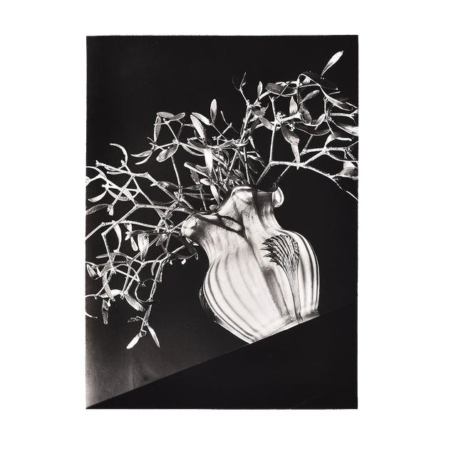 L. E. Berka, Mistletoe, 1931, Signed Gelatin Silver Print For Sale