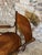 Wood Antique Bentwood Armchair by Fischel, 1890s For Sale - Image 7 of 18