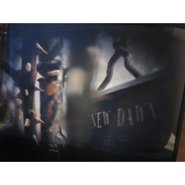 Modern 1992 Susan Wides Modern New York Photograph Chromogenic Print "New Dawn" For Sale - Image 3 of 9