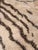 White Jungla Series Hand-Knotted Rug by Giuseppe Ajmone for Pugi-Italia, 1960s For Sale - Image 8 of 15