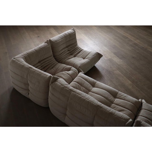 Mid-Century Modern Togo Sofa by Michel Ducaroy for Ligne Roset, 1970s, Set of 4 For Sale - Image 3 of 12