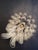 Vintage White Murano Chandelier For Sale - Image 10 of 17