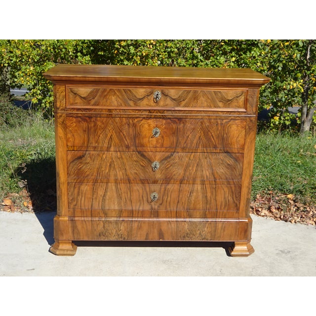 19th Century Louis Philippe Walnut Chest of Drawers For Sale - Image 13 of 18