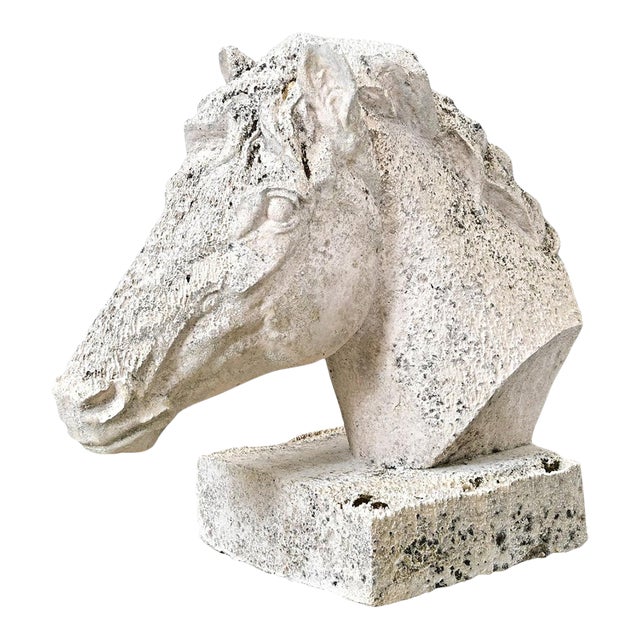 Early 20th Century English Equestrian Bust of a Horse's Head For Sale