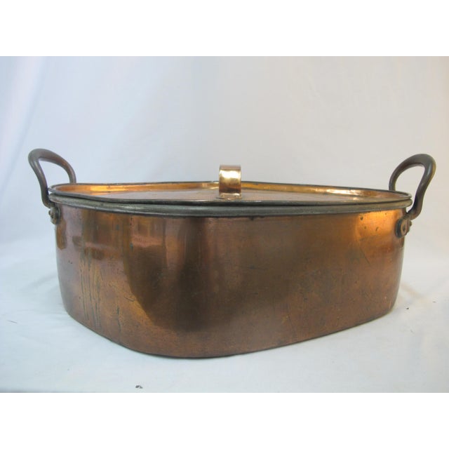 19th Century Heavy French Turbotiere Copper Fish Poacher Chairish