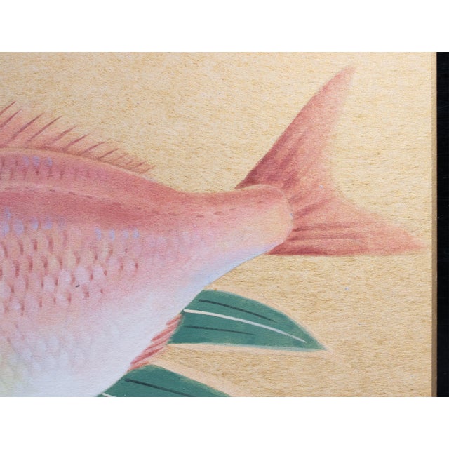 "Red Snapper", Heisei Era Japanese Watercolor Painting For Sale - Image 9 of 17