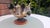 This is an Art deco cake stand from the 1930s. It is made with glass by United Glassware STS Abel. The dimensions are in...